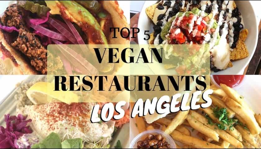 Vegan Restaurants Near Me - Find Vegan & Vegetarian Restaurants Near Me